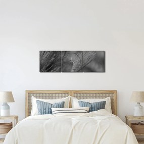 Kép - Szárított pampafű (órával) (90x30 cm)