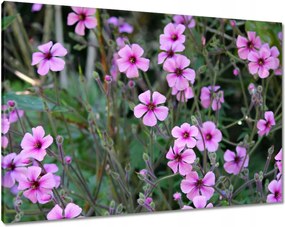 Vászonkép 100x70 Lila virágok