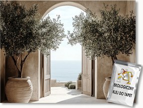 Fotótapéta Flizelina Terasz Ajtó Kilátás Tenger Fa Olíva 100x75 ragasztó