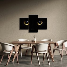 Kép - Macskaszemek (90x60 cm)