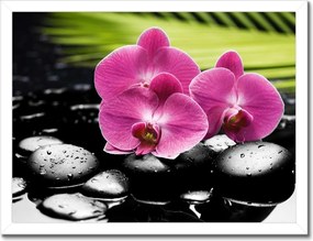 Poszterek keretben 40x30 Spa Kövek és leanderek