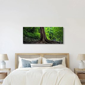 Kép - Öreg fa gyökere (120x50 cm)