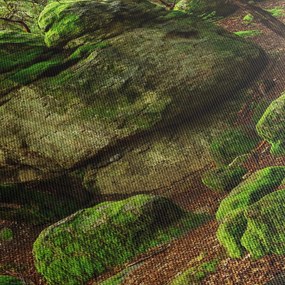 Egy varázslatos erdő képe (120x50 cm)
