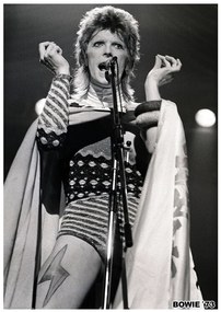 Plakát David Bowie - Ziggy Stardust 1973, (59.4 x 84.1 cm)