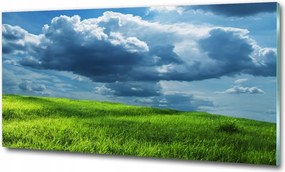 Fotó üvegkép Vízesés az erdőben 125x50