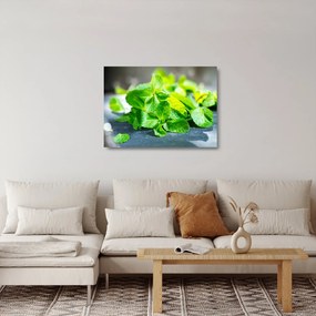 A menta képe (üvegen) (70x50 cm)