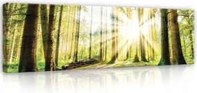 Vászonkép 145x45 Erdei perspektíva a belső térbe boho stílusban Skandináv