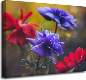 Botanika Virágok a kertben vászonkép 50x40