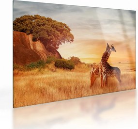 Kép - Zsiráfok Afrikában (üvegen) (70x50 cm)