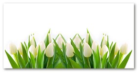 Akrilkép Fehér tulipán oah-30153186
