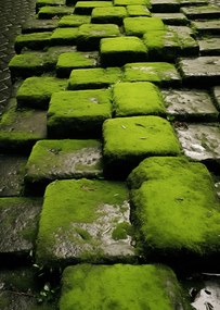 Poszter 64x90cm Zöld Mozaik