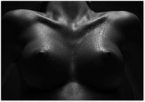 Poszterek 100x70 Aktok Meztelenség Szerelem Fotó