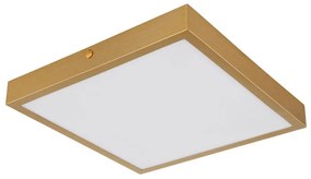 Globo 12382-15 - LED Mennyezeti lámpa TIBEY LED/15W/230V 25x25 cm