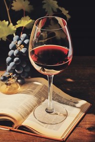 Poszter 20x30cm Történelem csokor