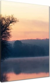 Vászonkép 70x100 Tél Köd Erdő Tó
