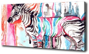 Vászonkép nyomtatás Színes zebra oc-87232366