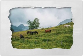 Poszterek 60x40 Tájképek Kilátások Tájképek