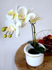 Orchidea művirág prémium 7 virág Színek műnövények 56 cm vegyes szín