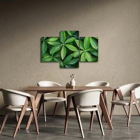 Kép - Levelek harmatcseppekkel (90x60 cm)