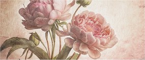 Fali fotótapéta előszoba konyhába Finom bazsarózsa 250x104 ragasztó
