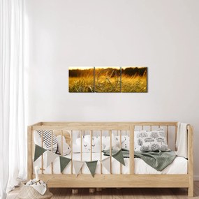Harmatos fű képe (órával) (90x30 cm)