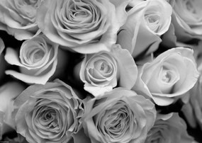 Poszter 42x29,7cm Közelkép rózsafüzérhez, Assaf Frank