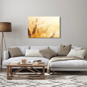 Kép - részlet gabona (90x60 cm)