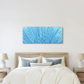 Kép - Makro felvétel egy virágról (120x50 cm)