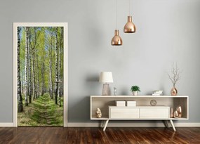 Ajtóposzter öntapadós nyírfa erdő 75x205 cm