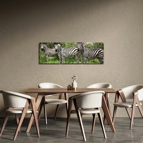 Zebrák képe (órával) (90x30 cm)