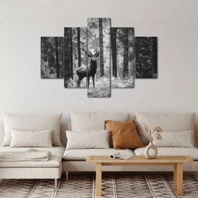 Kép - Szarvas az erdőben 2, fekete-fehér (150x105 cm)
