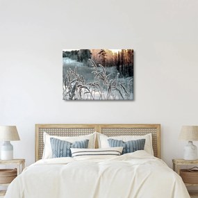 Kép - Fagyott rét (70x50 cm)