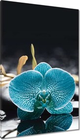 Vászonkép 80x120 Türkiz orchidea Virág