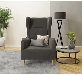 Sötétszürke bársony füles fotel Carole – Ropez