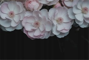 Divatos Flizelin Tapéta Ragasztóval Fali 3D Finom csokor 104x70 Ragasztó