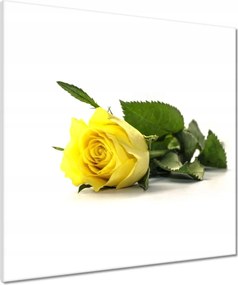 Vászonkép 60x60 Sárga rózsa egy lánynak