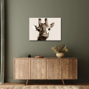 Kép - Zsiráf portré, vintage (70x50 cm)