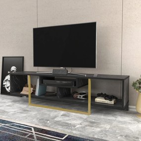 TV szekrény Asal 150 - Black, Gold