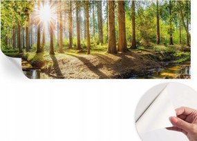 Öntapadós Dekoratív Fotótapéta Hálószobába Erdei idill 250x104 cm