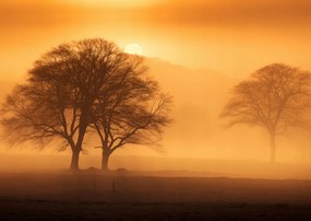 Poszter 29,7x21cm Alkonyat a tisztások felett