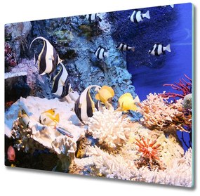 Üveg vágódeszka korallzátony 60x52 cm