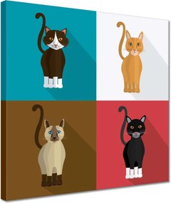 Vászonkép 30x30 Cica