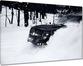 Vászonkép 100x70 Szórakozás a hóban Tél