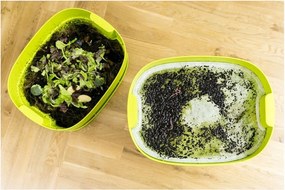 Bézs komposztáló Urbalive – Plastia