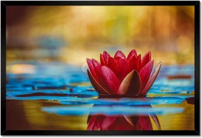 Poszter keretben 60x40 Tavirózsa Virág Víz