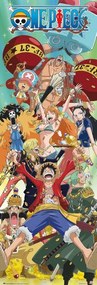 Plakát One Piece - One Piece, (53 x 158 cm)