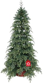 Natura lucfenyő 3D 180 cm