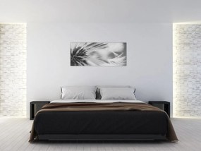 Kép - Pitypang (120x50 cm)
