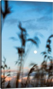 Vászonkép Természet Mező Rét Napfelkelte 60x100