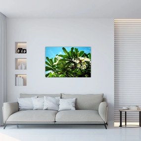 Kép - Plumeria (90x60 cm)